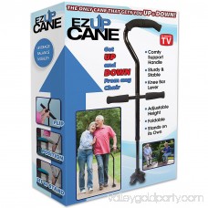 EZUp Cane -The Only Sit to Stand Cane